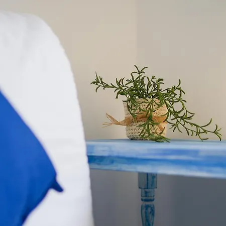 Lägenhet Sunny - 5min To The By Lovelystay Albufeira